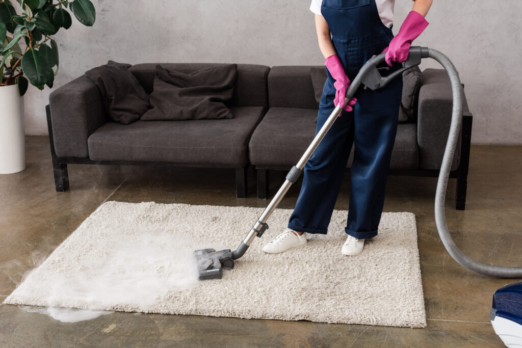 Smart Carpet Cleaning using Hot Steam